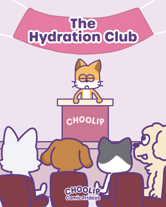 The Hydration Club
