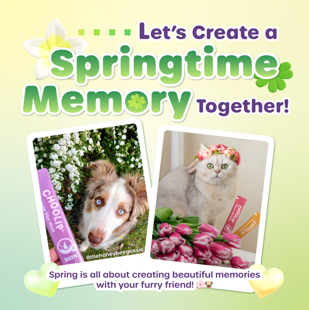 Springtime Memory