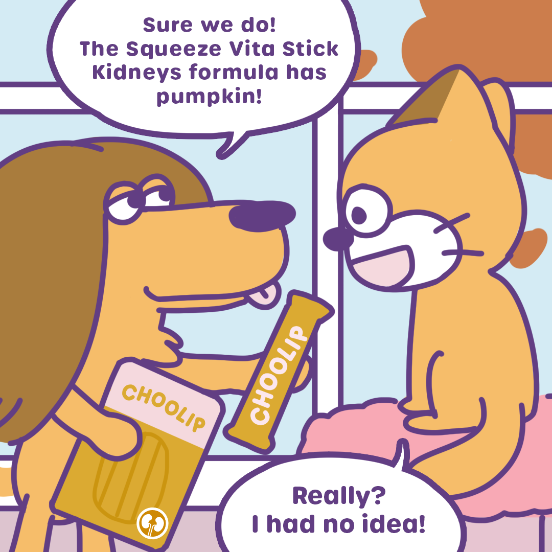 Pumpkin Season Just Got Healthier🍂