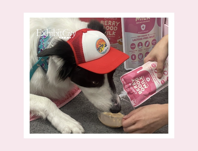 Exhibit City : SUPERZOO 2024 Drives Pet Retail Success
