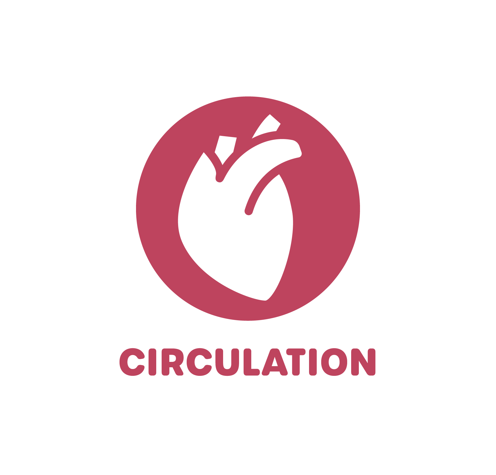 CIRCULATION