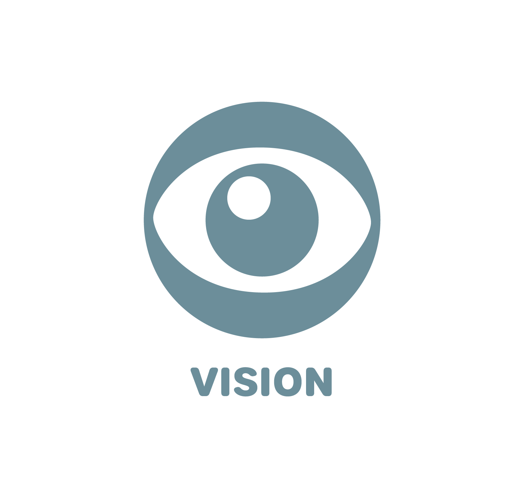 VISION