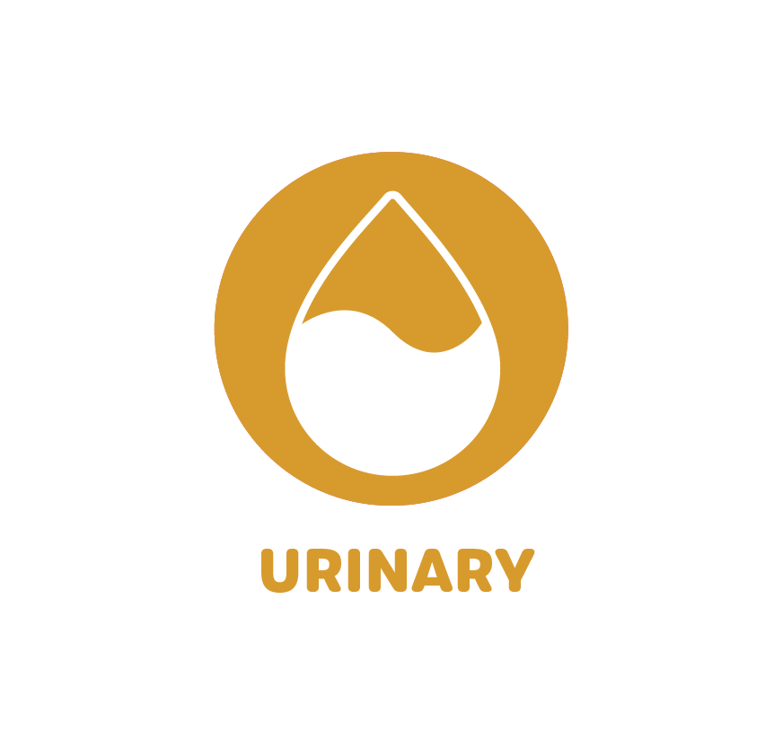URINARY