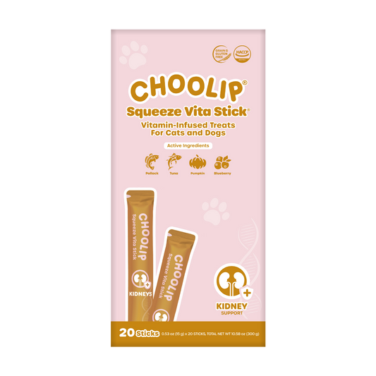 Squeeze Vita Stick Kidney (20 stick box)