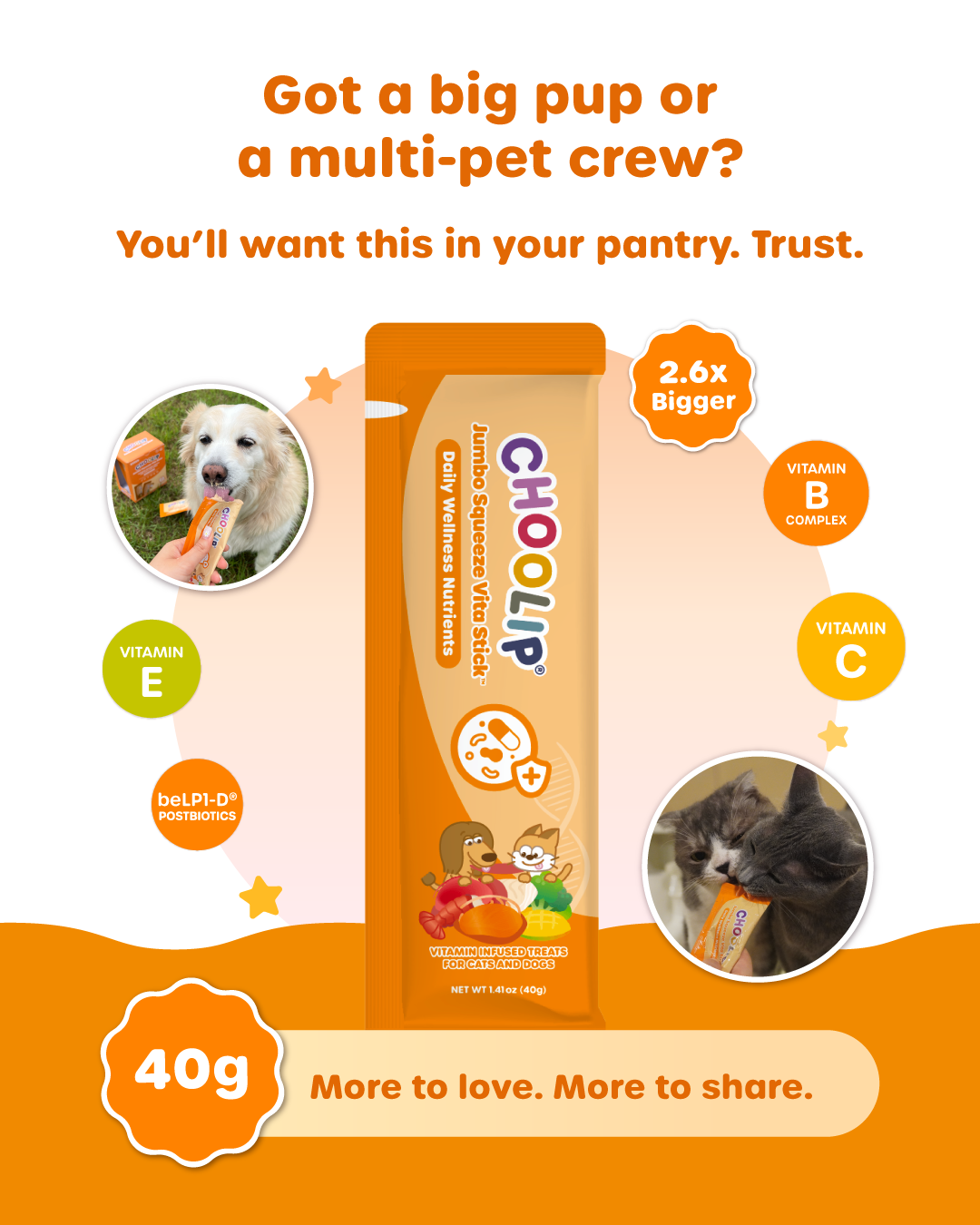 Choolip Trial Box - Variety Pouch & Hydration Milk