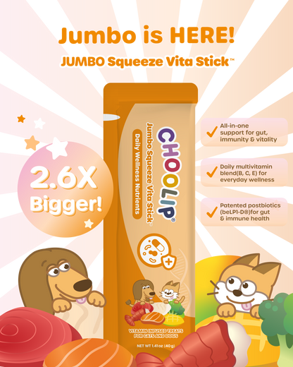 JUMBO Squeeze Vita Stick (20 Sticks)