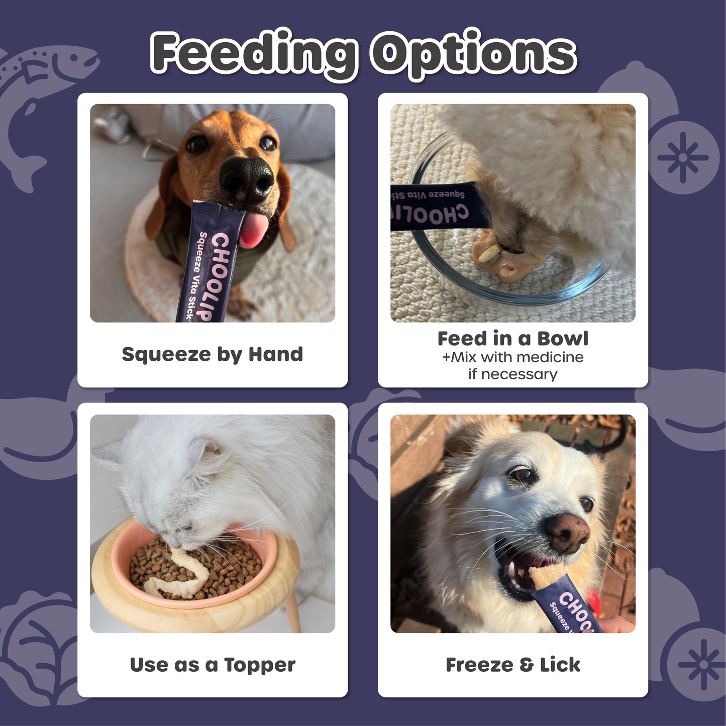 Feeding options for a pet with images and text on a blue background