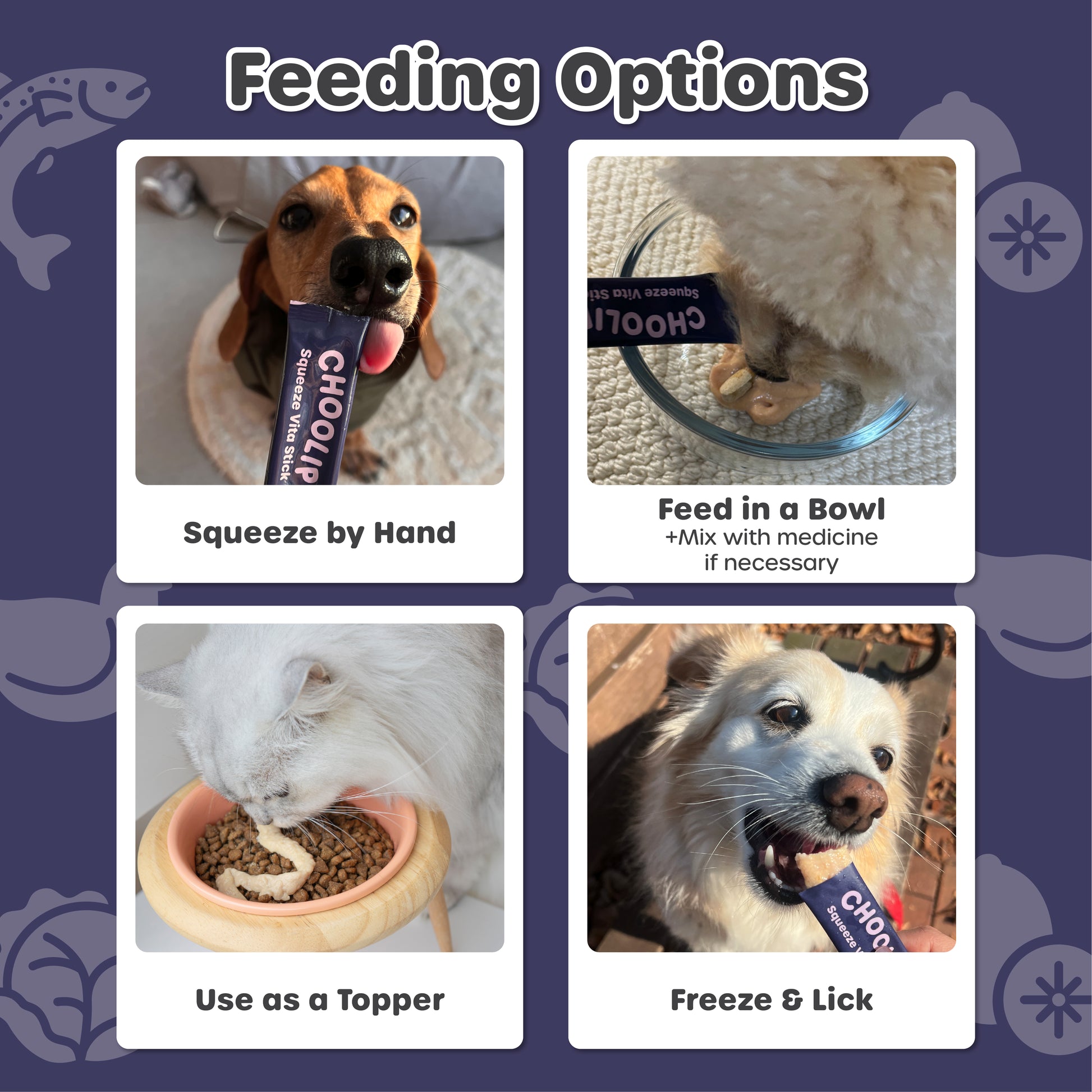 Feeding options for a pet with images and text on a blue background