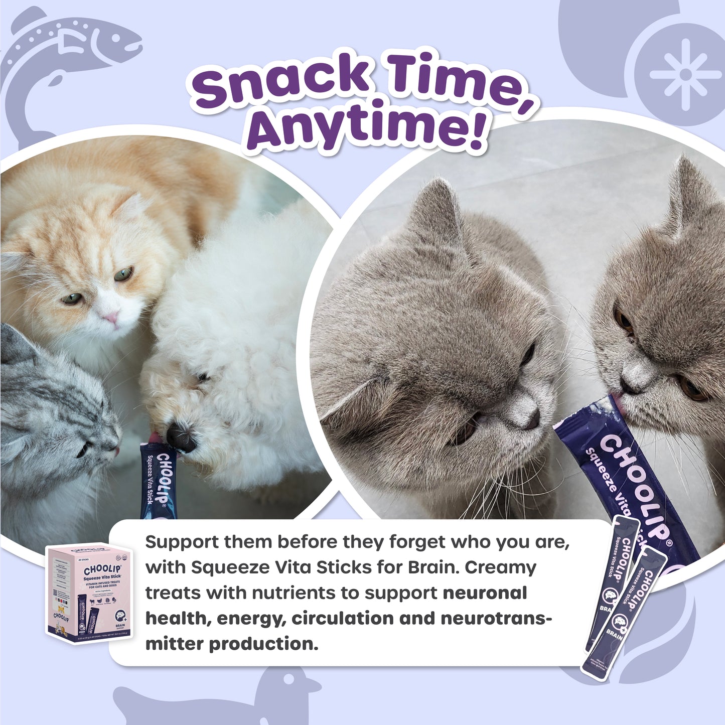 Cats and dogs with text about brain support.