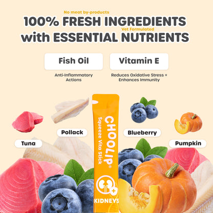 Product packaging with fresh ingredients and health benefits on a yellow background