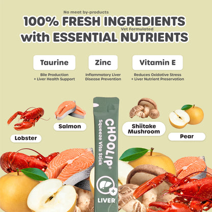 CHOOLIP product with fresh ingredients and health benefits on a light green background
