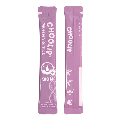 choolip_skin_stick_front_back