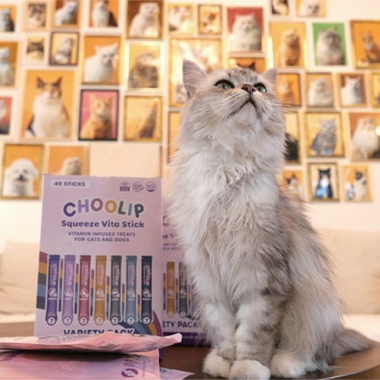 variety_box_cat