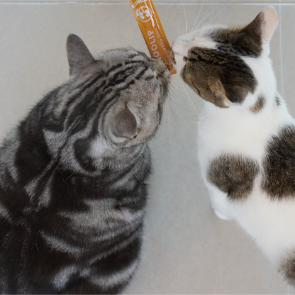 kidneys_stick_cats