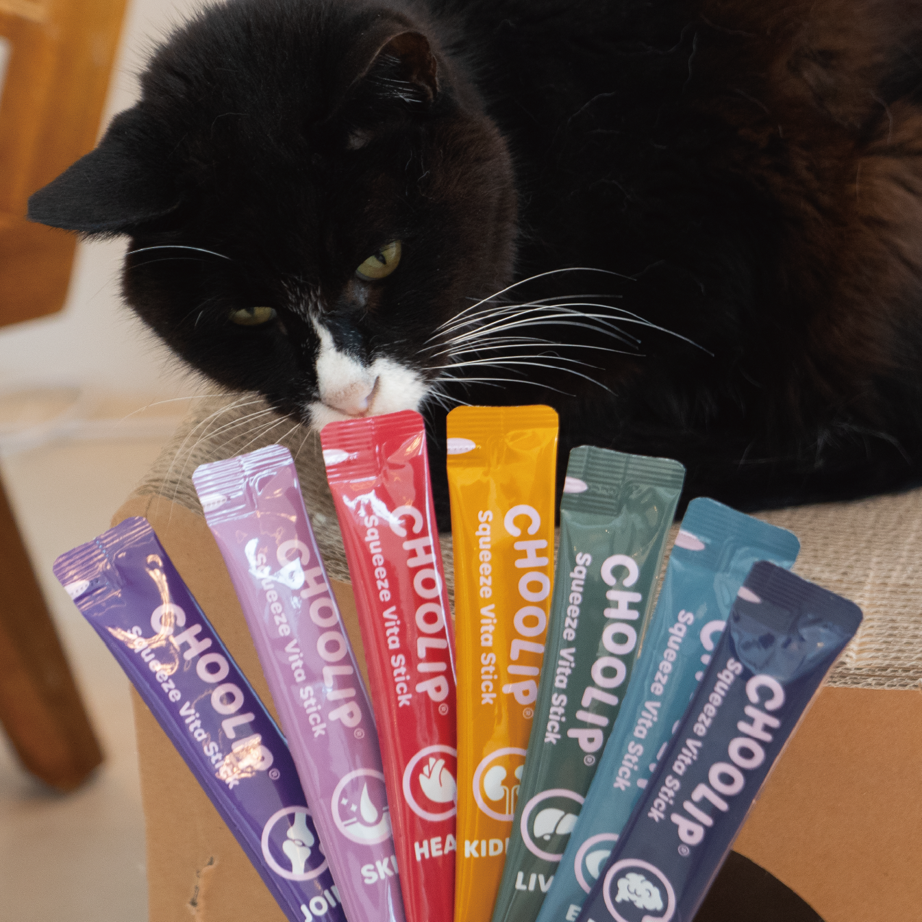 variety_sticks_cat