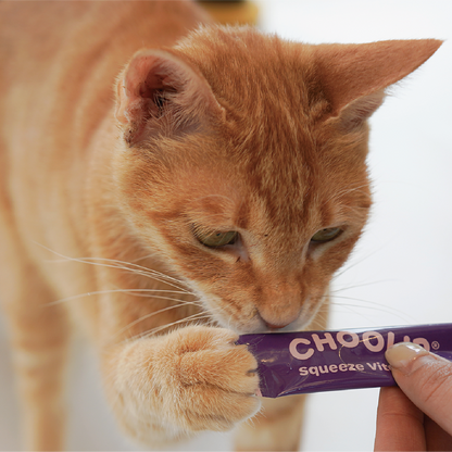 joint_stick_cat