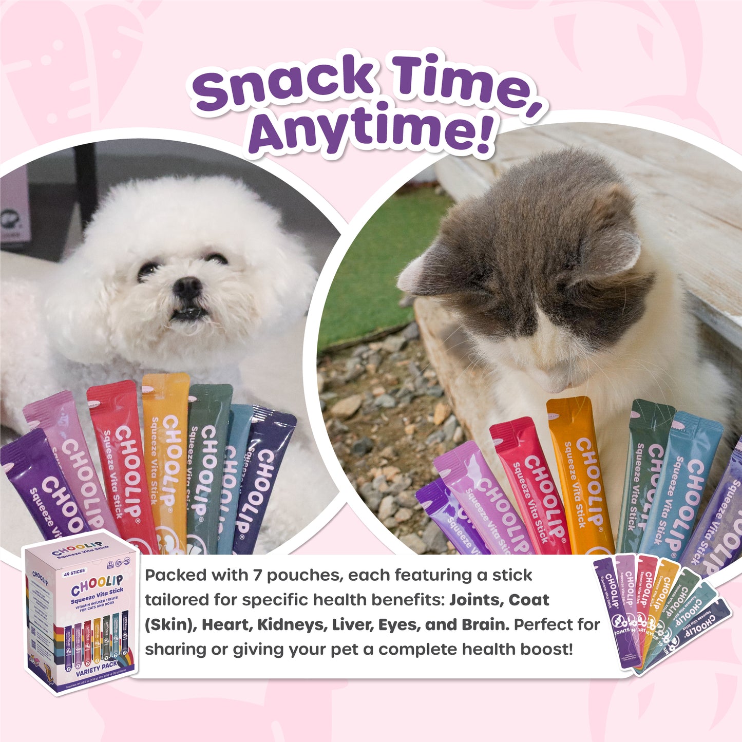 Squeeze Vita Stick Variety Grab & Go Box (49 Sticks)