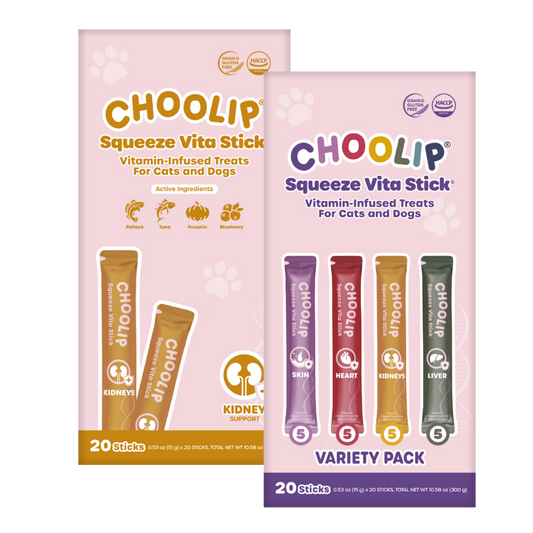 [FIFA] Squeeze Vita Stick Bundle (20 stick box x 2)