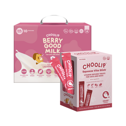 Best Sellers Box Bundle