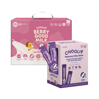 Best Sellers Box Bundle