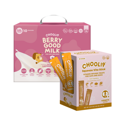 Best Sellers Box Bundle – Choolip