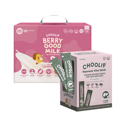 Best Sellers Box Bundle