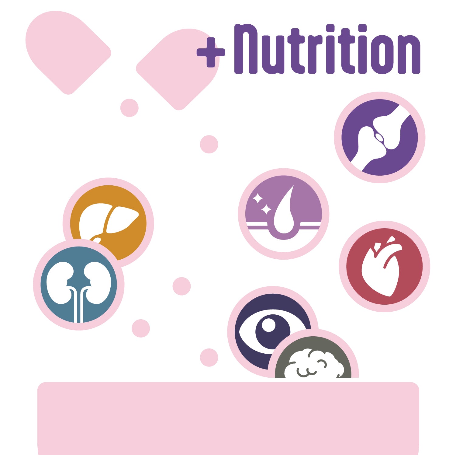 nutrition_multivitamin_supplement_health