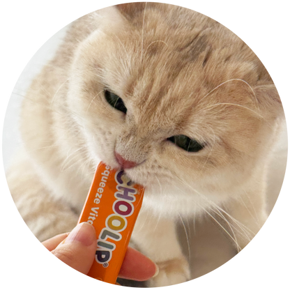 Cat sniffing Total Balance squeeze vita stick product held by a hand.