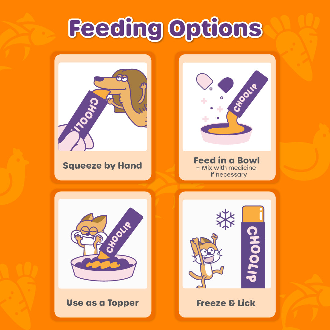 Illustrations of feeding options for a product on an orange background with illustrations.