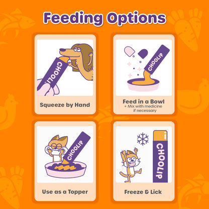 Illustrations of feeding options for a product on an orange background with illustrations.