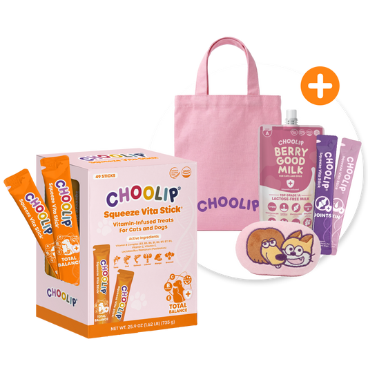 Choolip products including Total Balance box, sticks, and a pink tote bag on a white background.