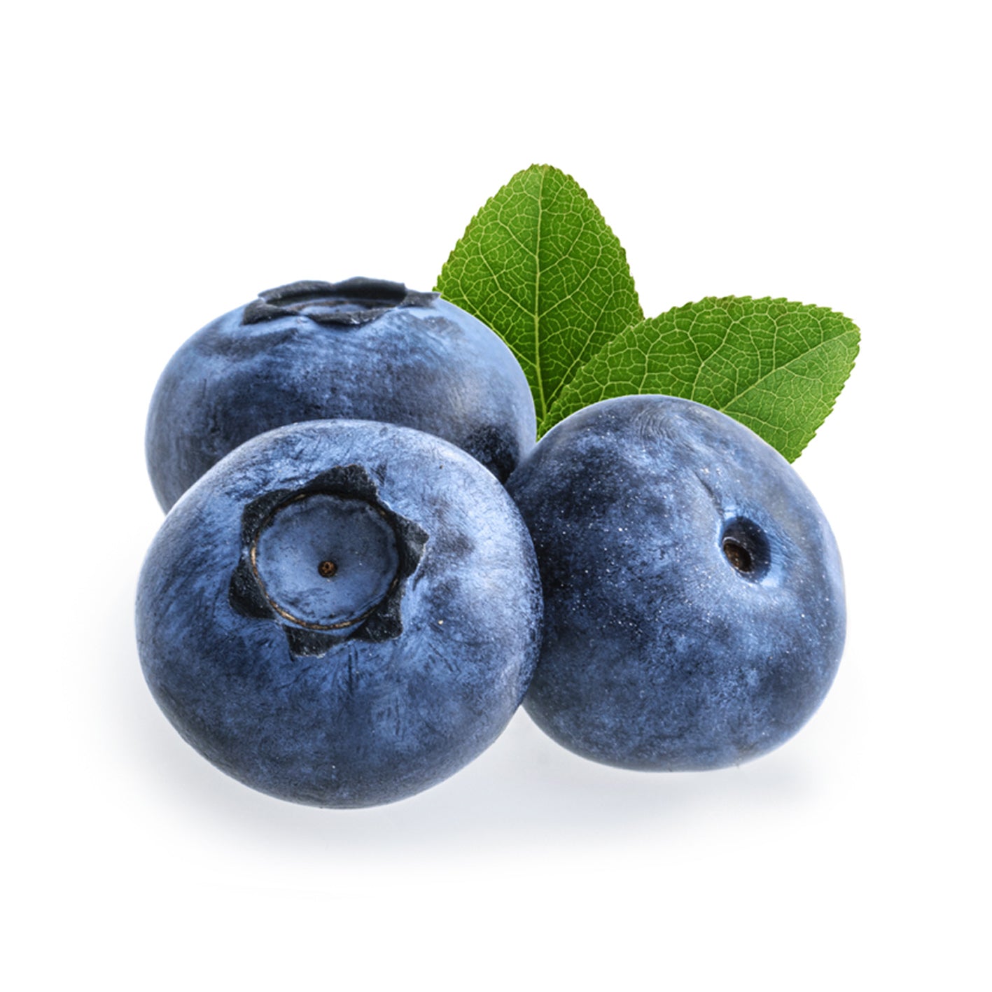 blueberry_ingredient_fresh_food