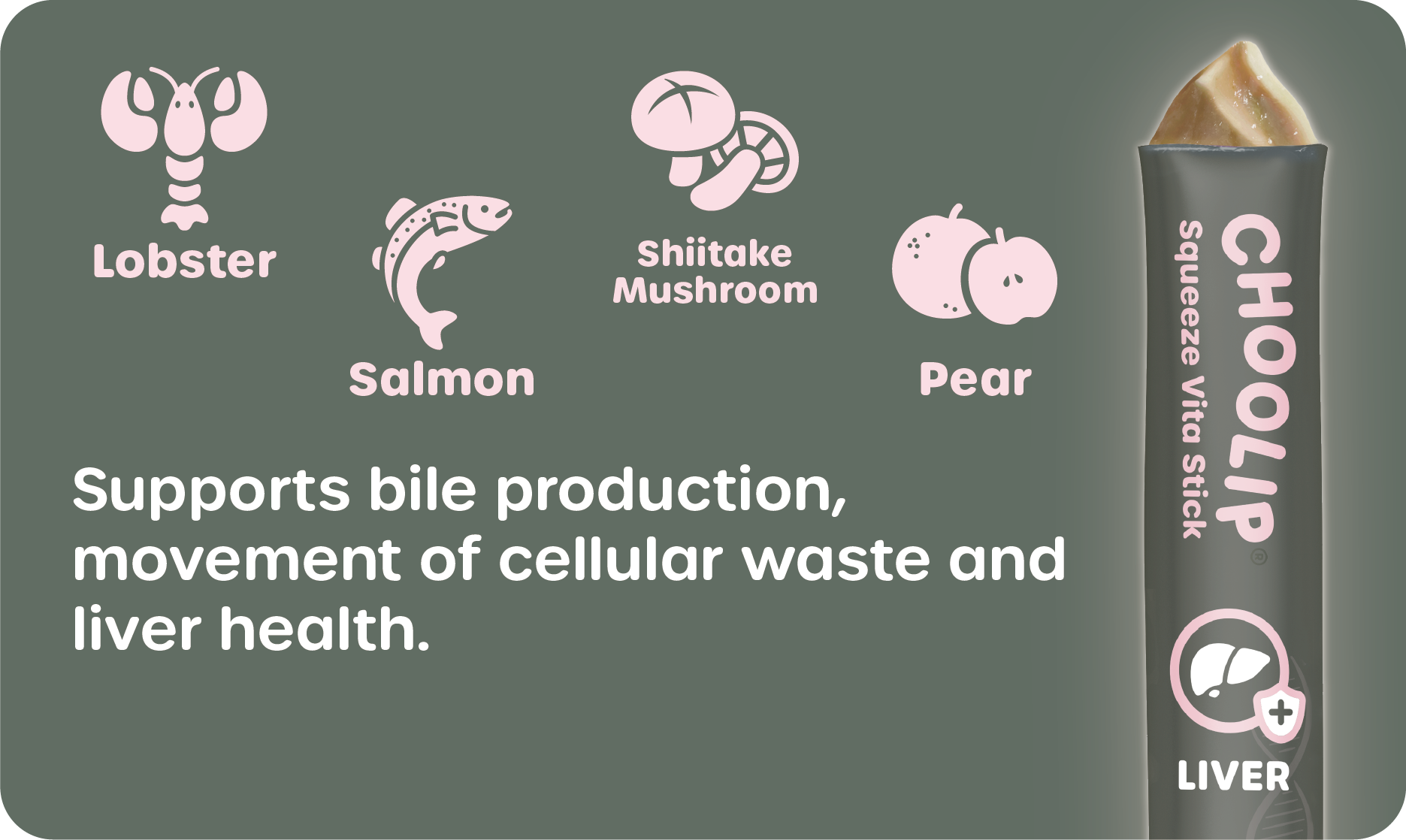 choolip_liver_information_support_ingredient
