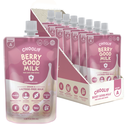 Choolip Berry Good Milk packaging for cats and dogs with a display box.