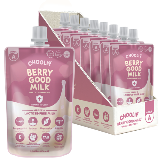 Choolip Berry Good Milk packaging for cats and dogs with a display box.